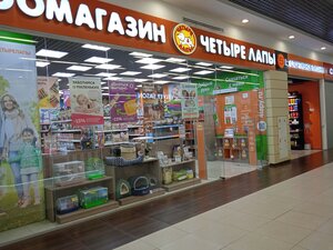 Порно түсіру