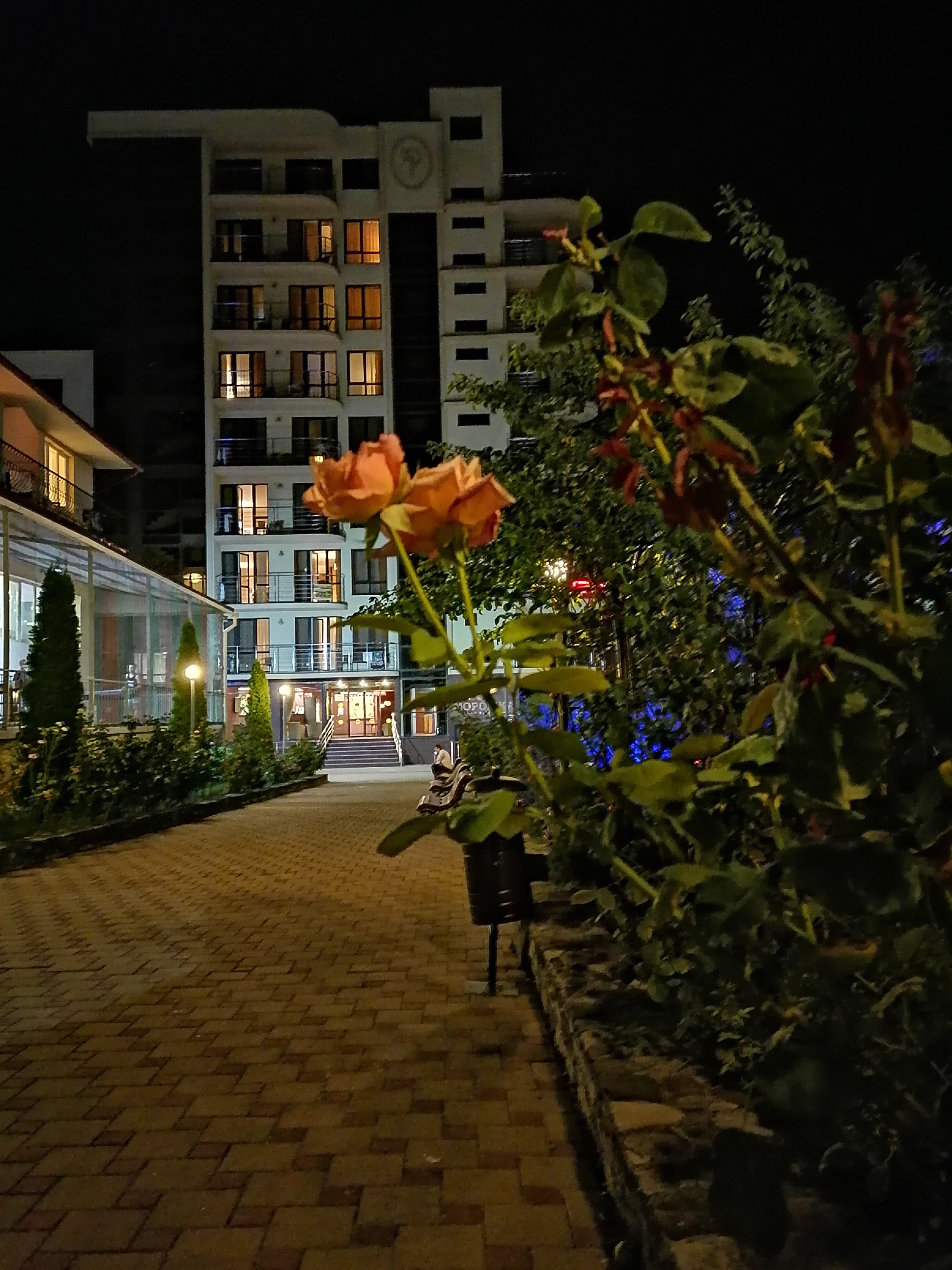 Фото Фламинго