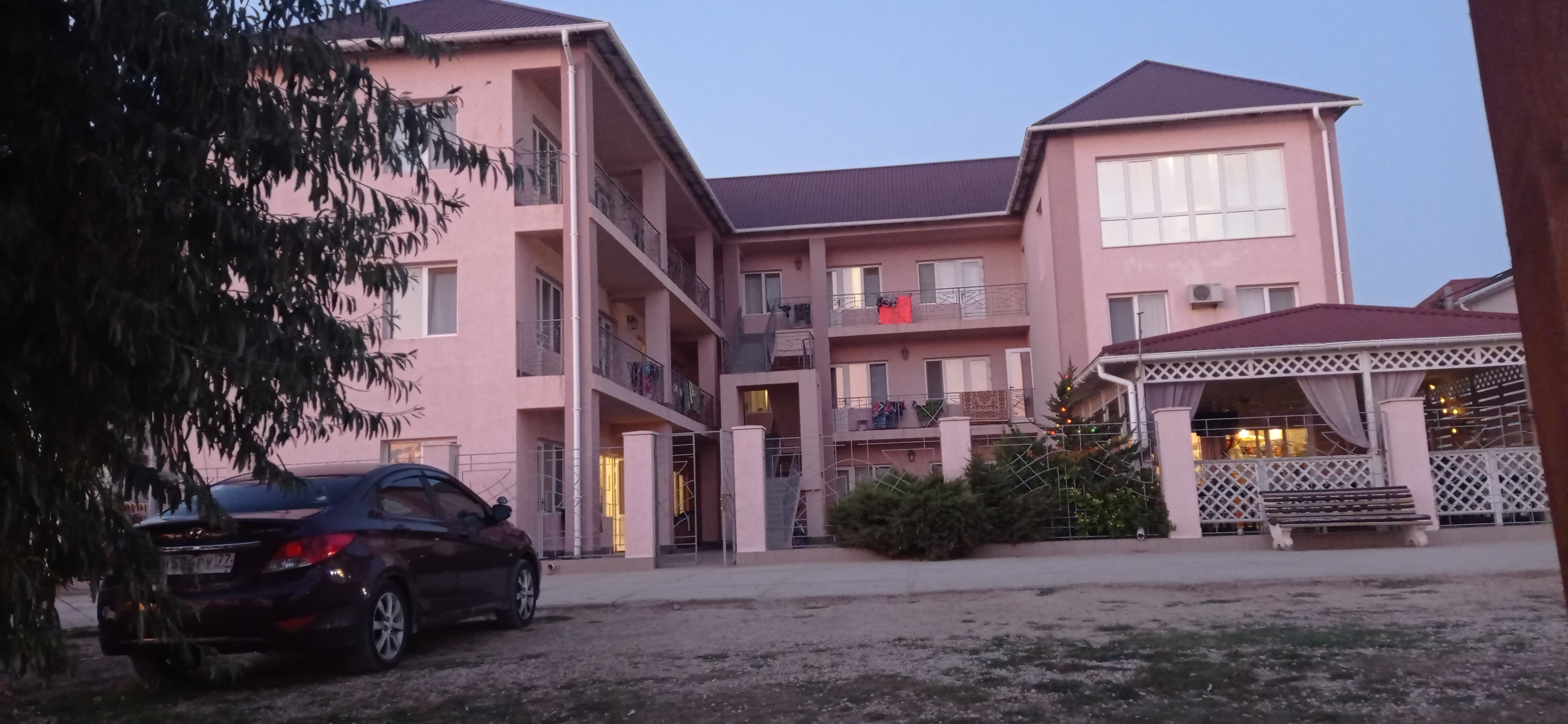 Фото Шафран