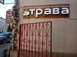 Trava flower (Zhelyabova Street, 3), flower shop