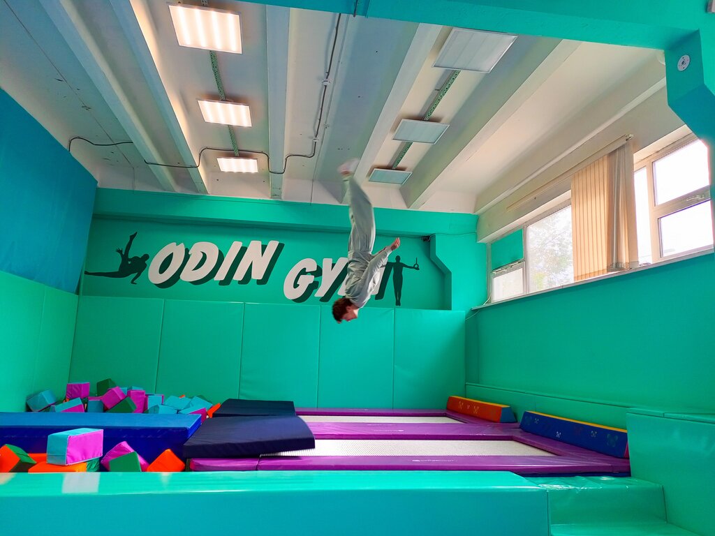 Спортивный клуб, секция OdinGym, Москва, фото