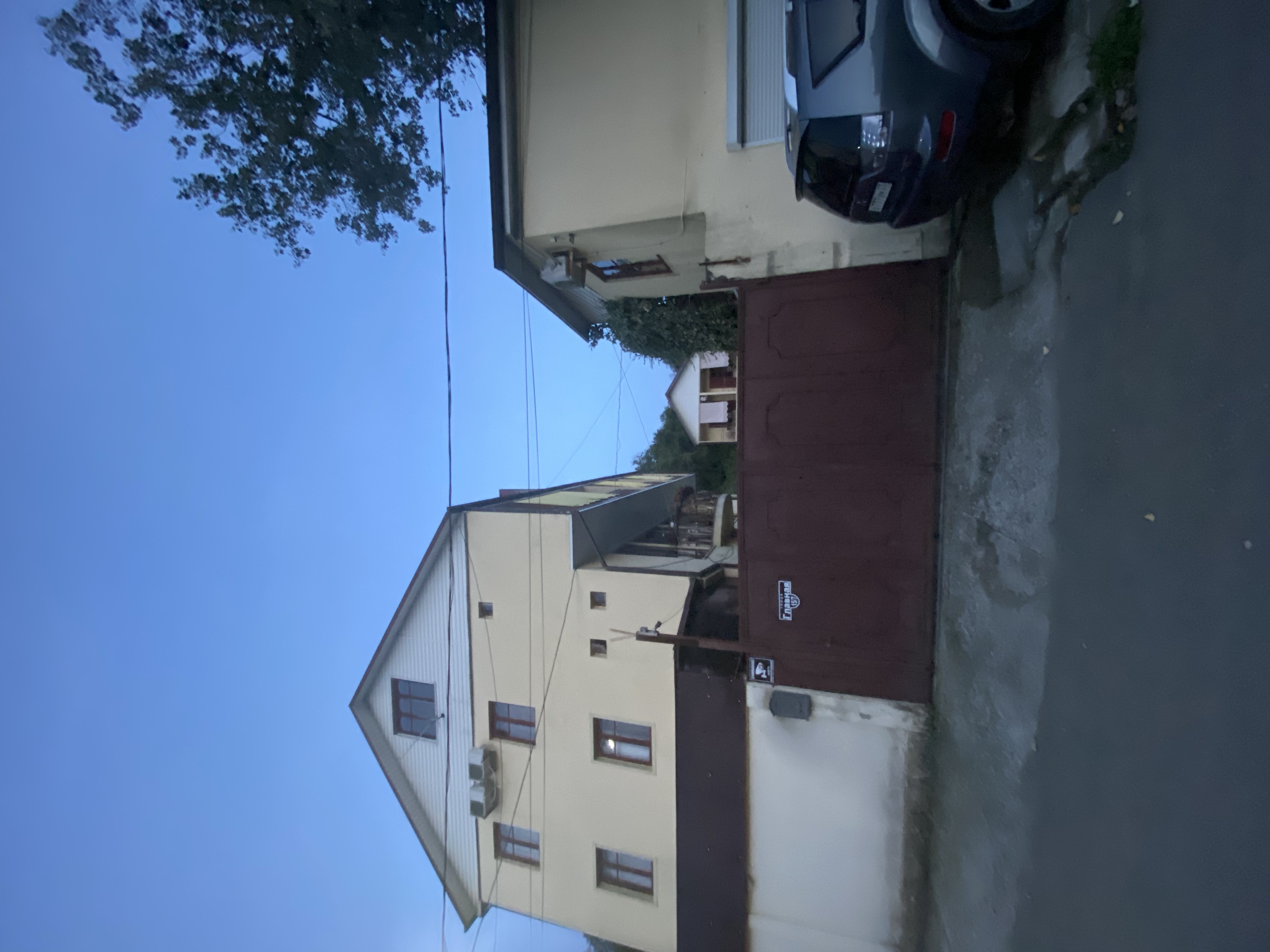 Фото Пальма