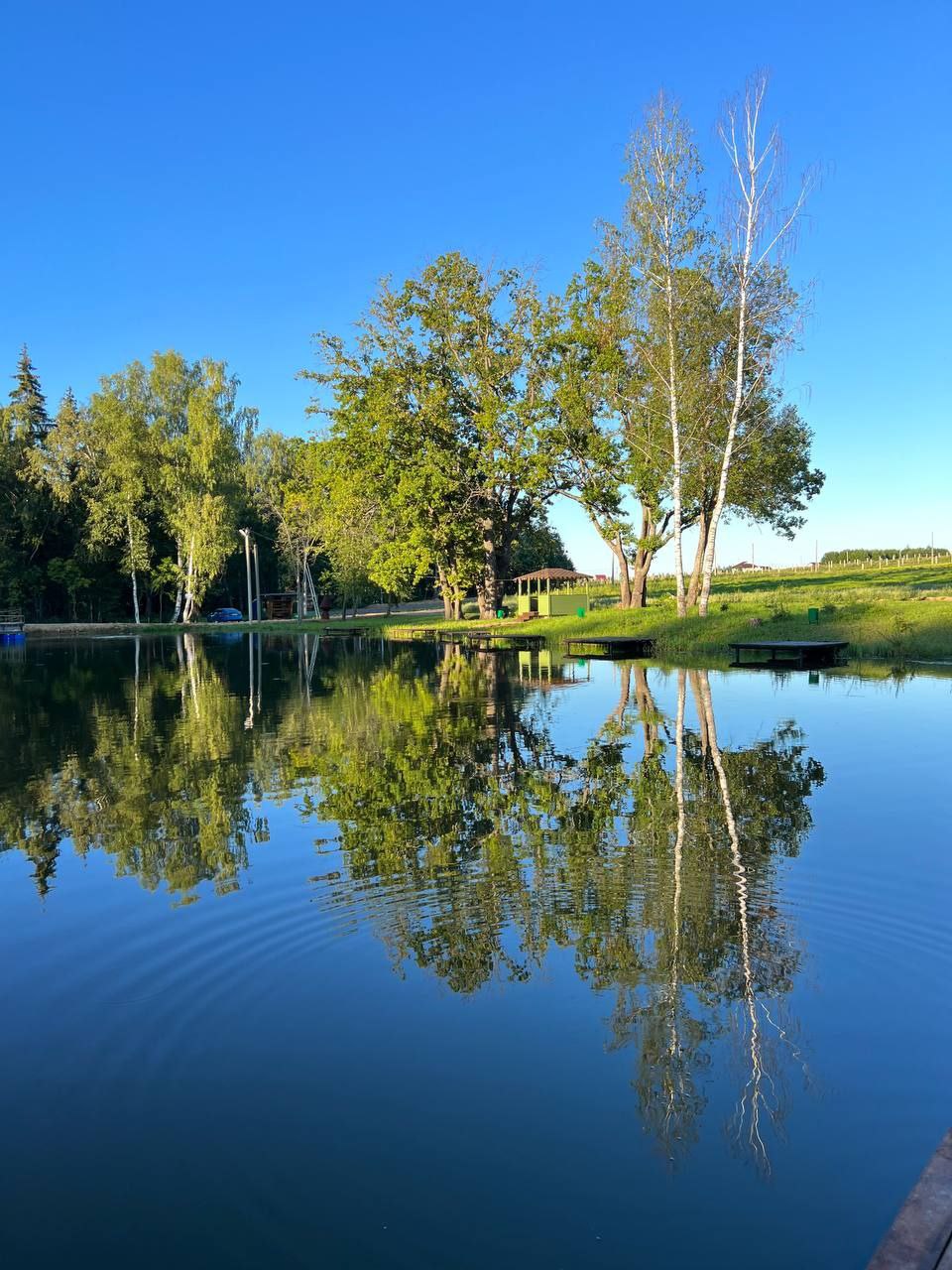 Фото Михайловское угодье