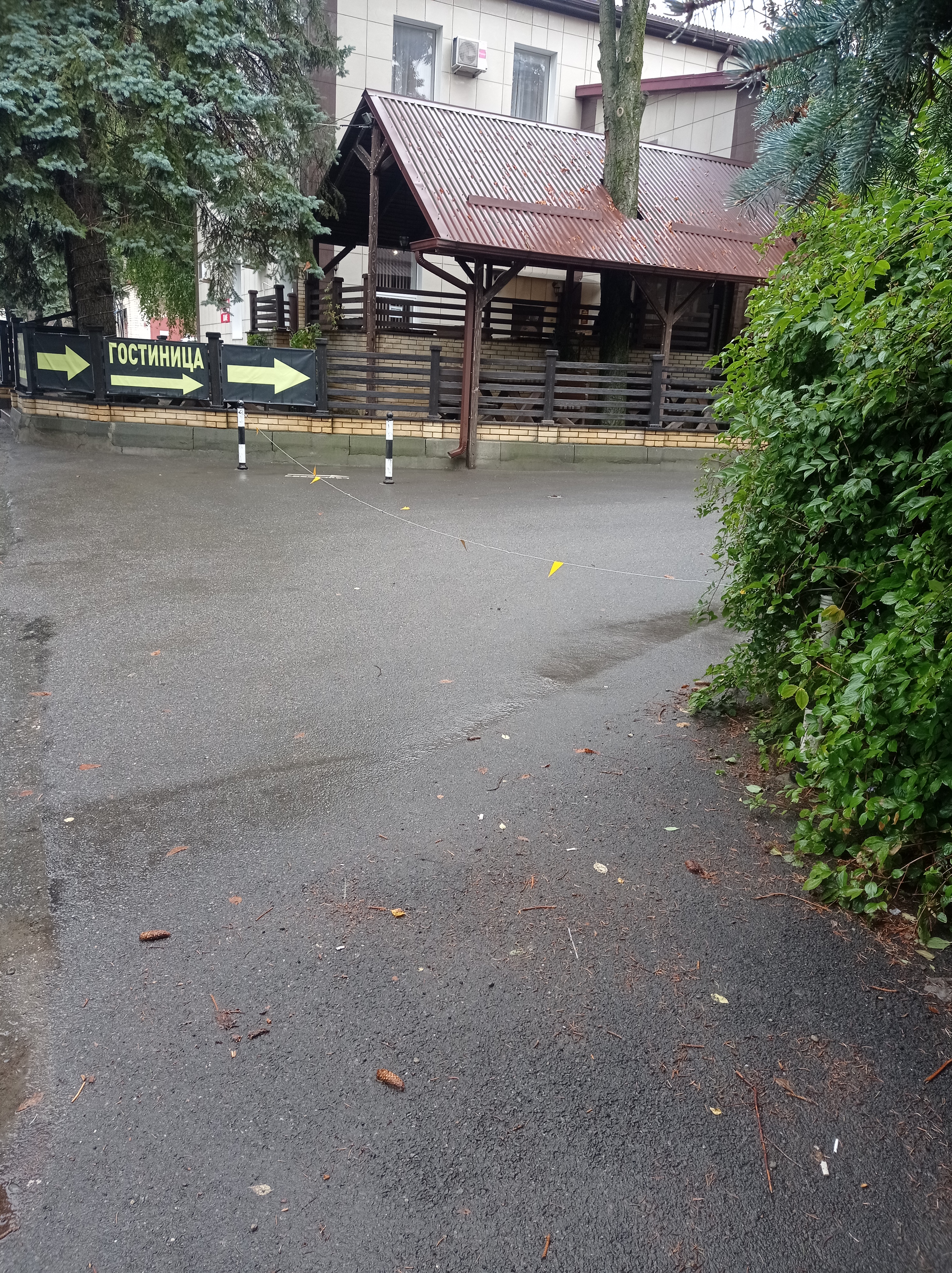 Фото Восход