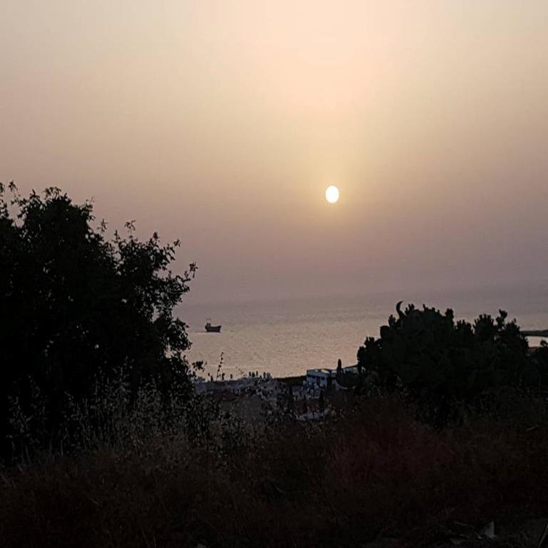 Фото King's Holiday Apartments