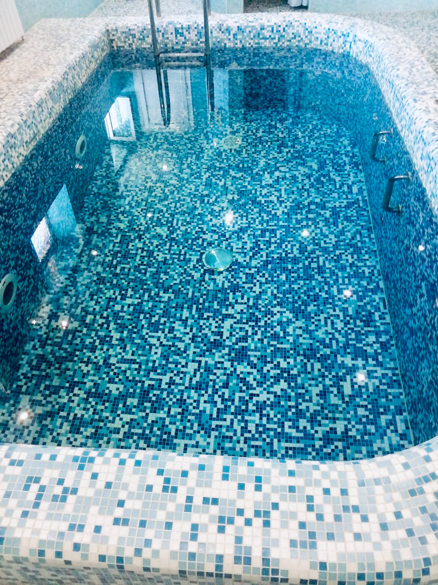 Фото Ласточка