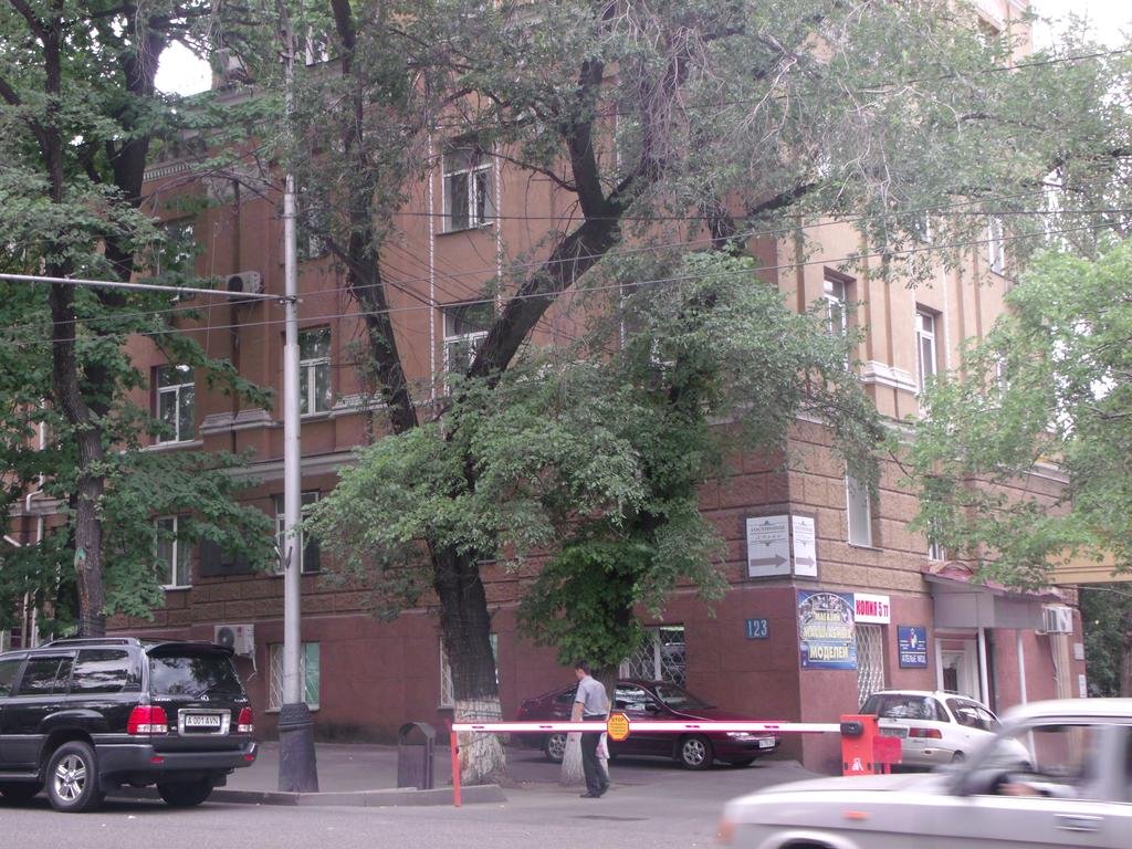 Фото Д'Рами