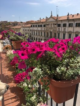 Фото B&b Sterlizia