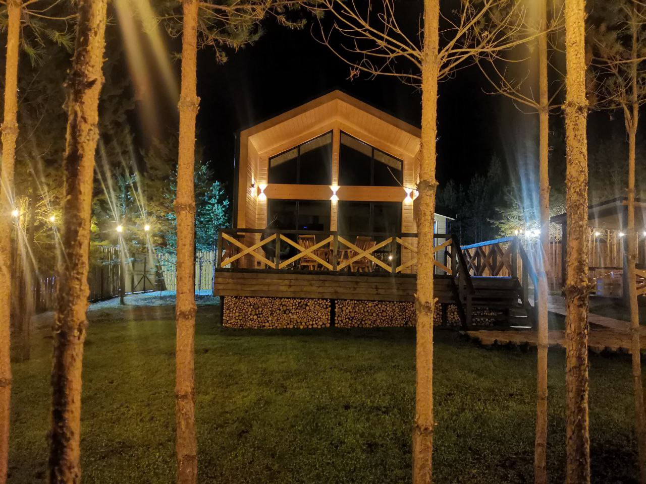 Фото Два Лося