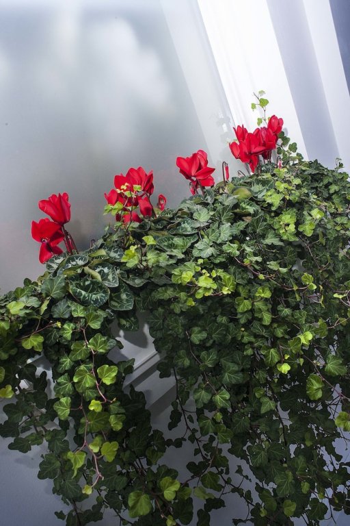 Фото Haverstock Hotel