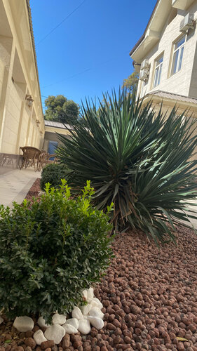 Гостиница Shosh Palace в Ташкенте