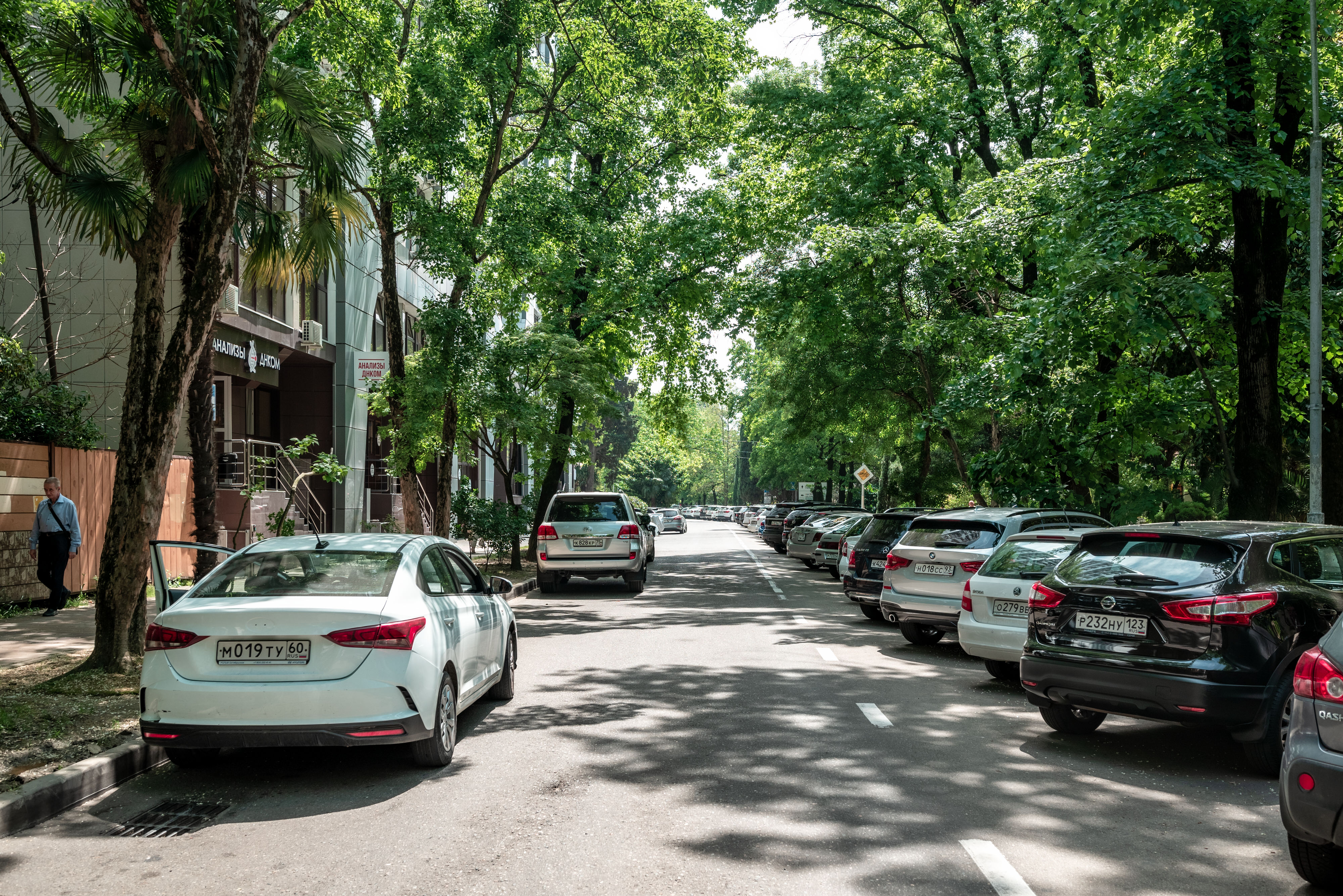 Фото Мангостин