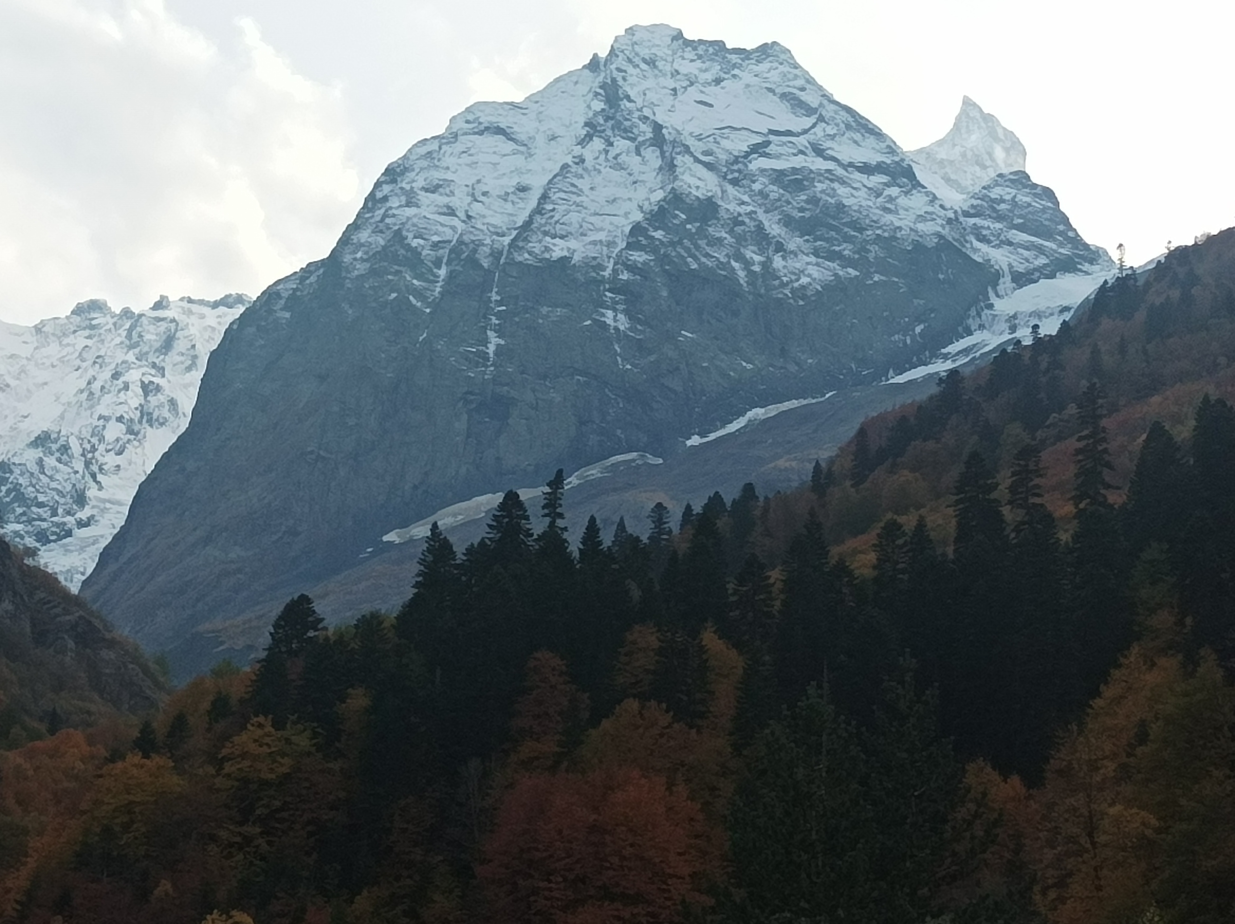 Фото Лесная Сказка