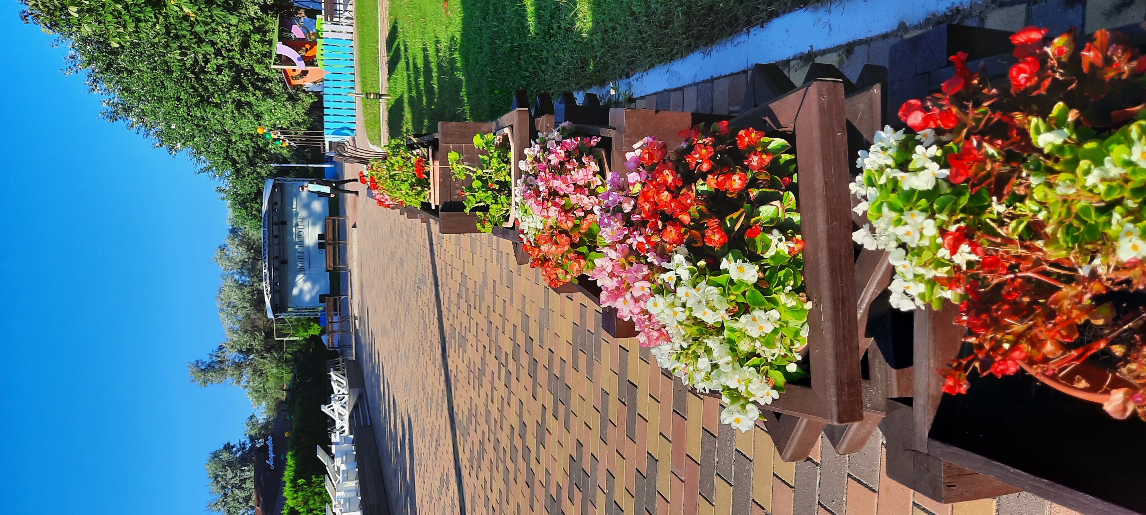 Фото Дюны Золотые