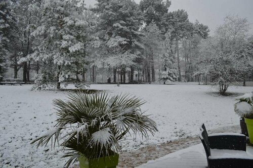 Гостиница Hotel Restaurant Les Sittelles в Ле-Мане