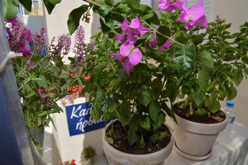 Фото Studio Hermes