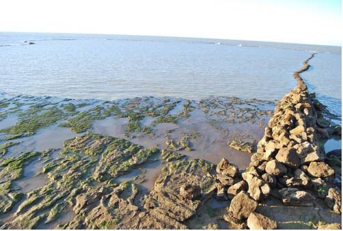 Фото Montserrat Casa del Mar