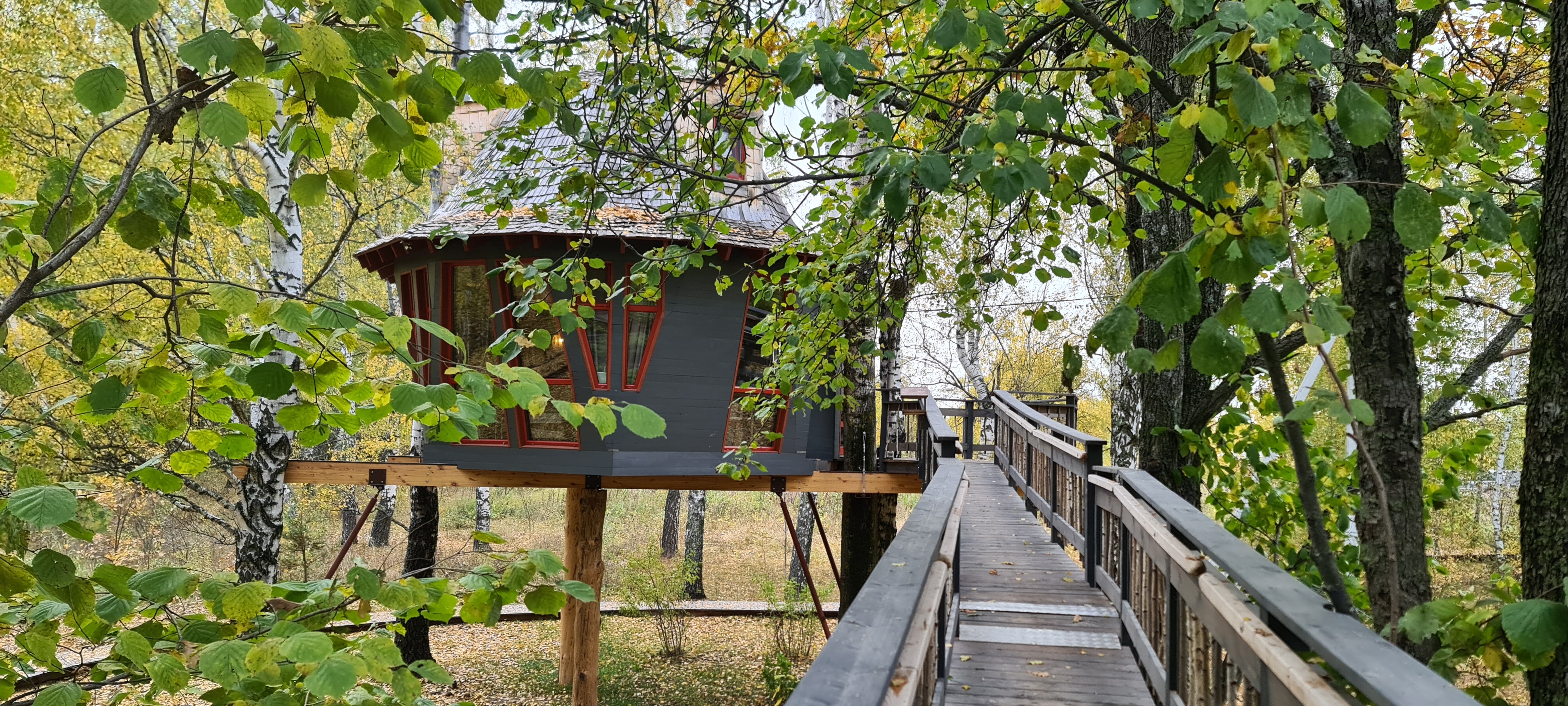 Фото Лапочкино гнездо Дома на деревьях