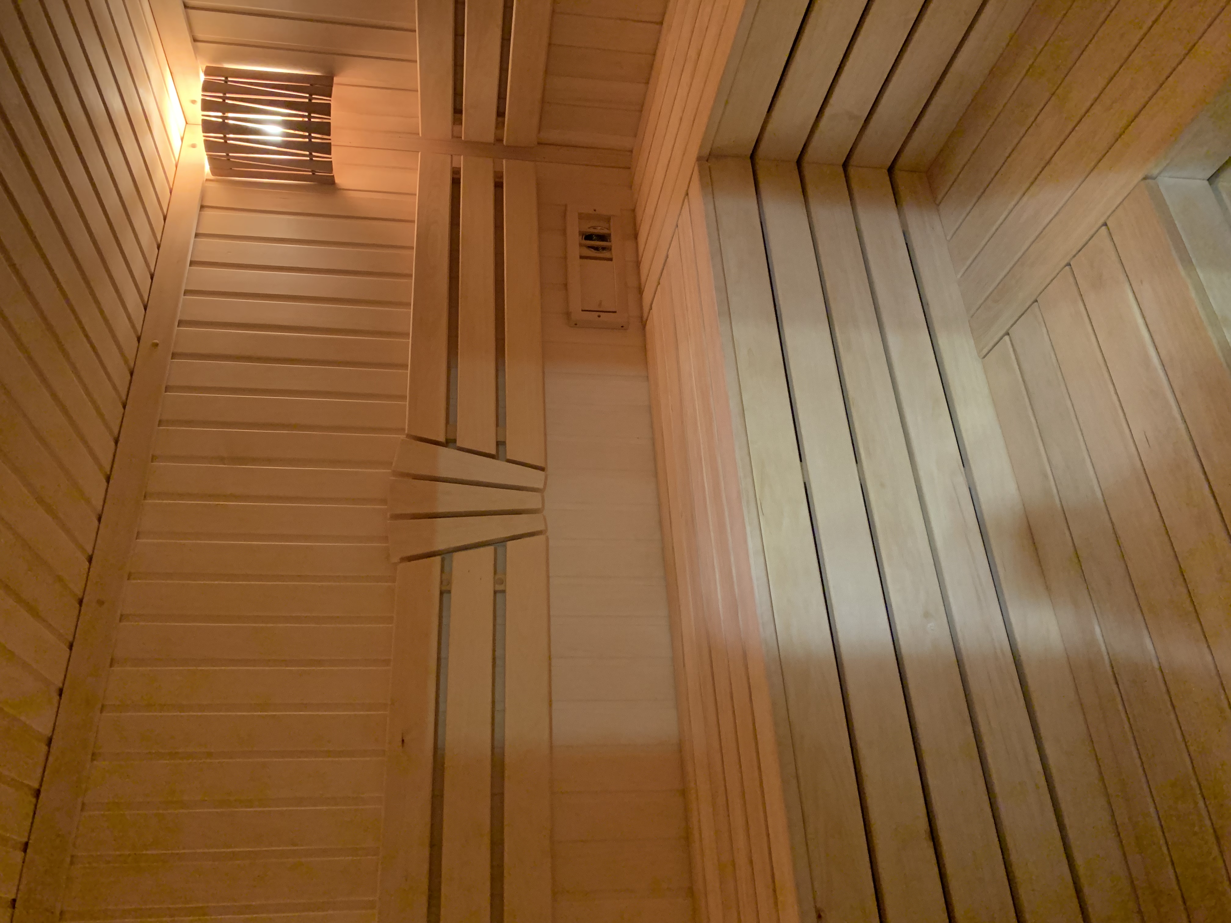 Фото Ласточка