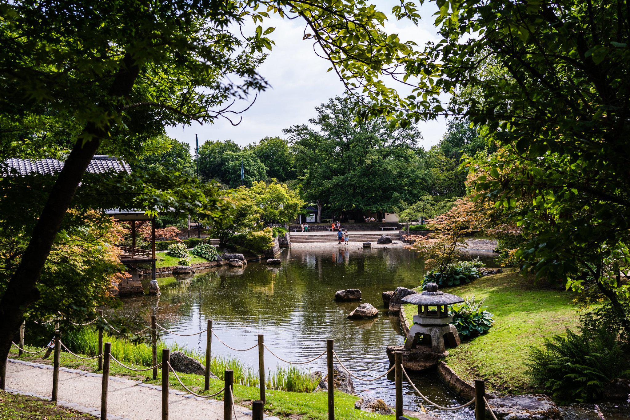 Фото 123800312978