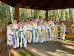 Федерация тхэквондо МФТ (ulitsa Alekseya Poltoratskogo, 51), sports club