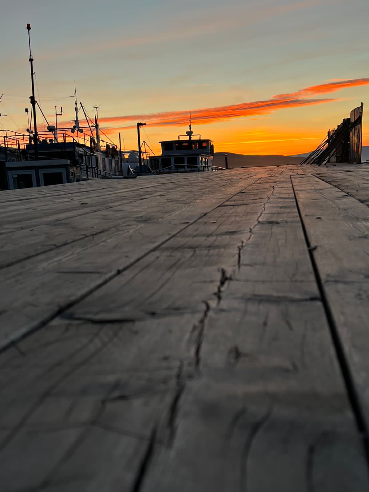 Фото Филоксения