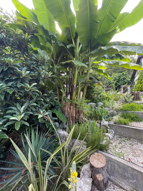 Фото Лесное царство