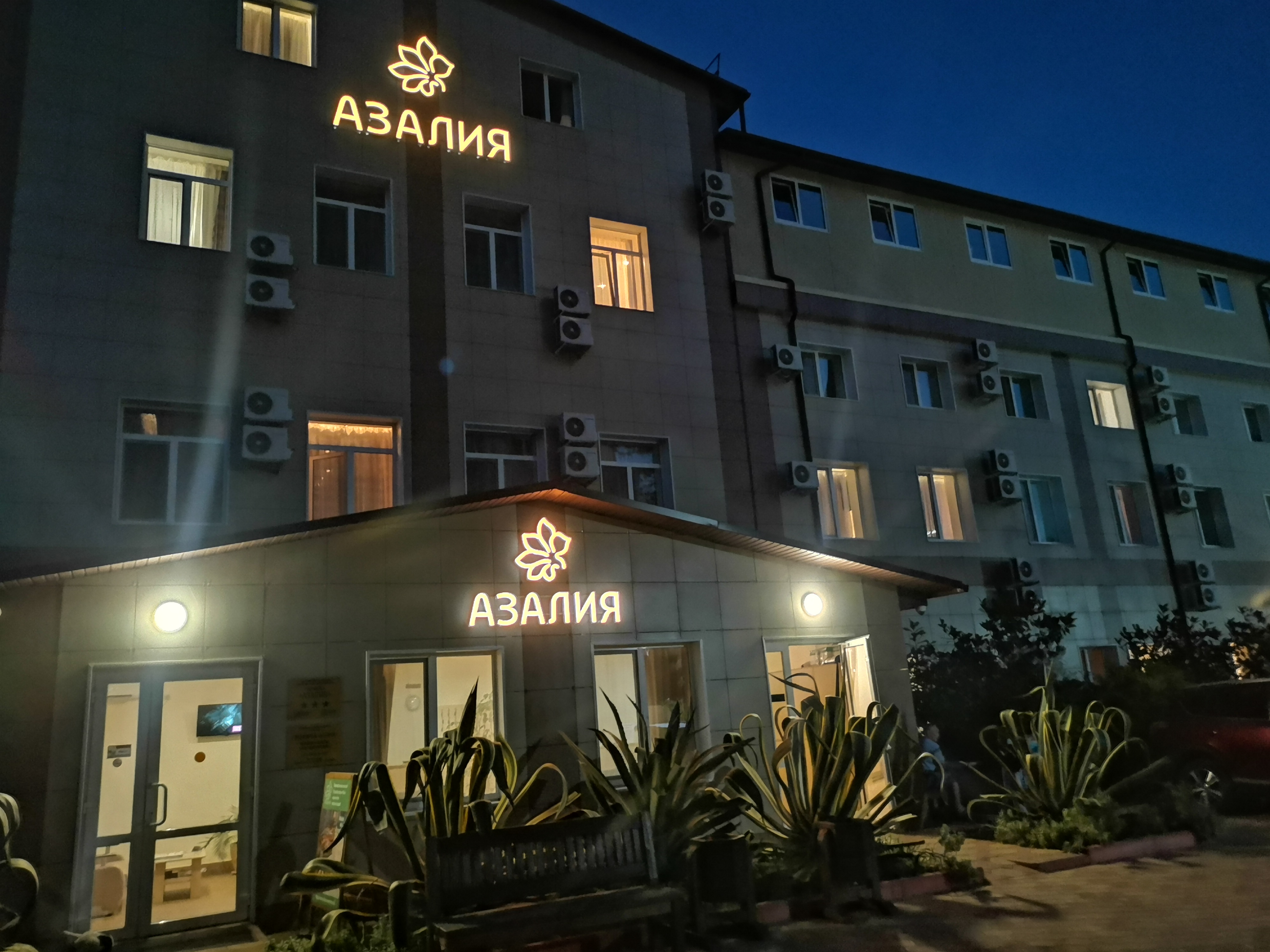 Фото Азалия