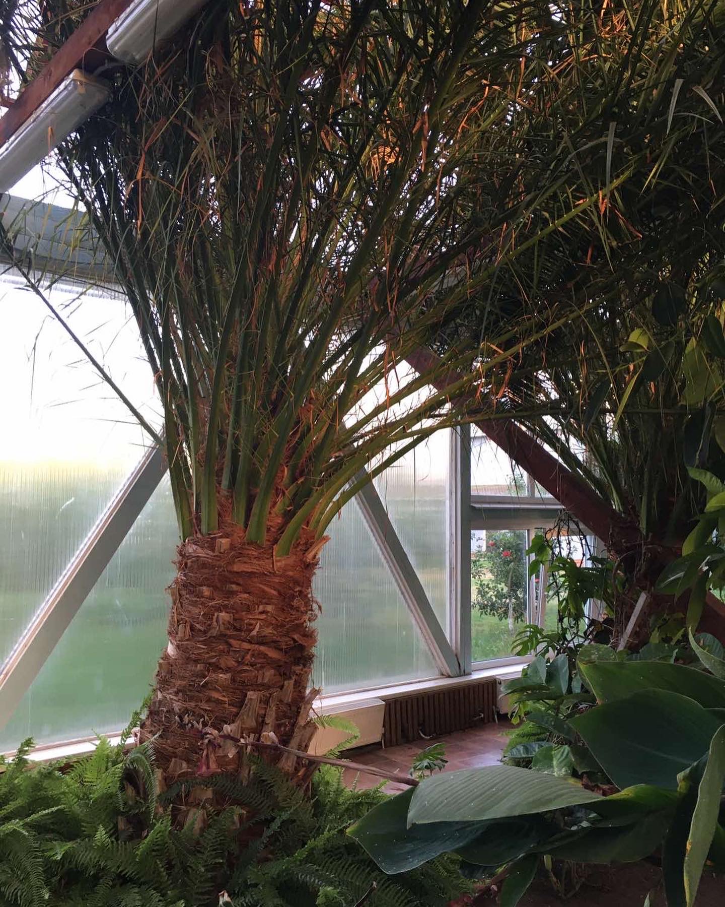 Фото Усадьба Абузерье