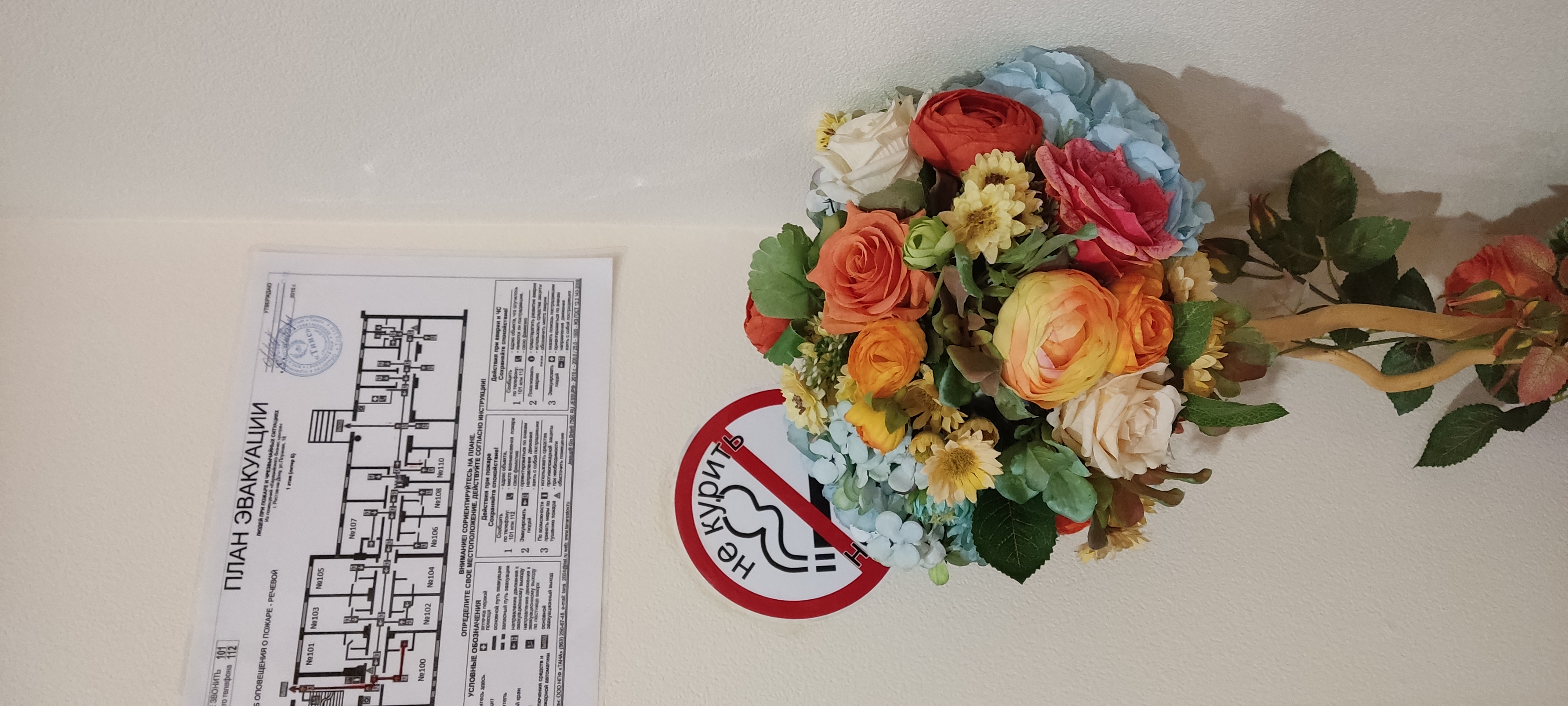 Фото Евразийский