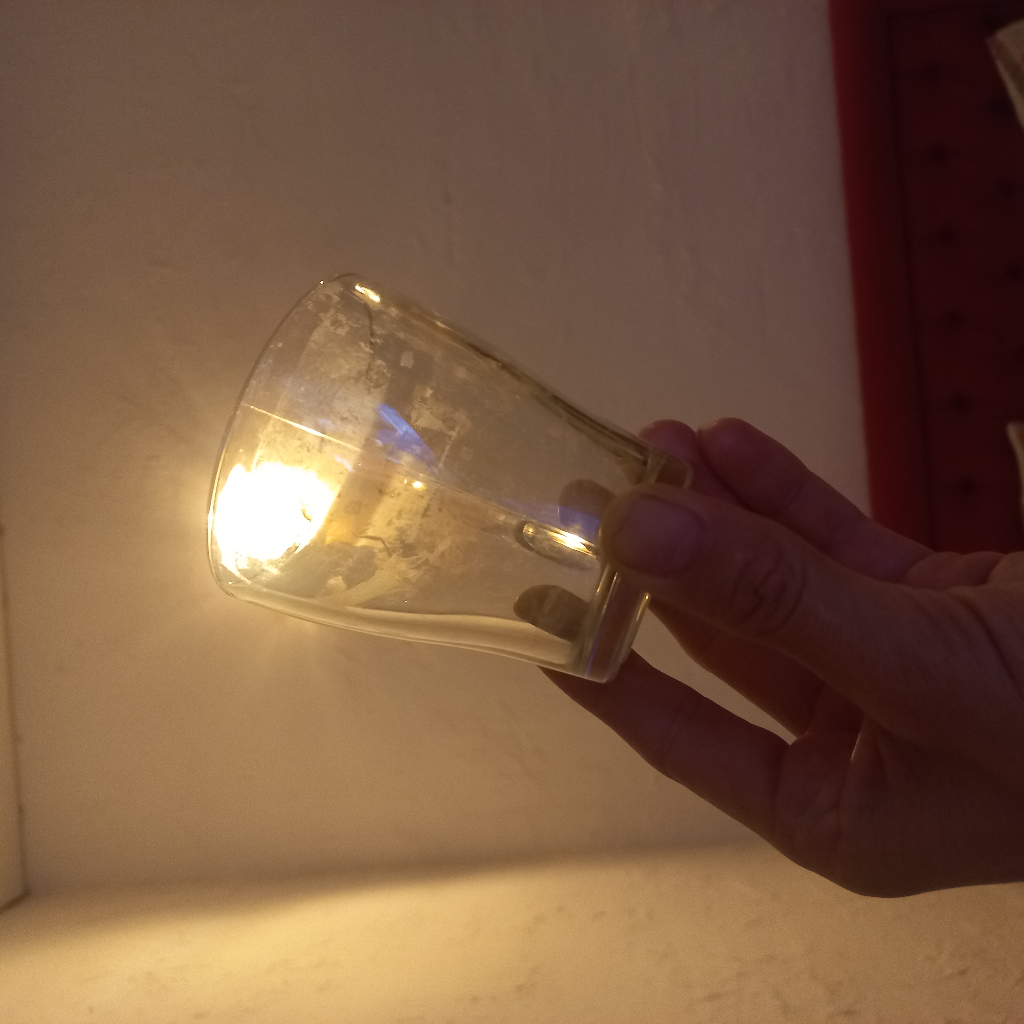 Фото Барракуда