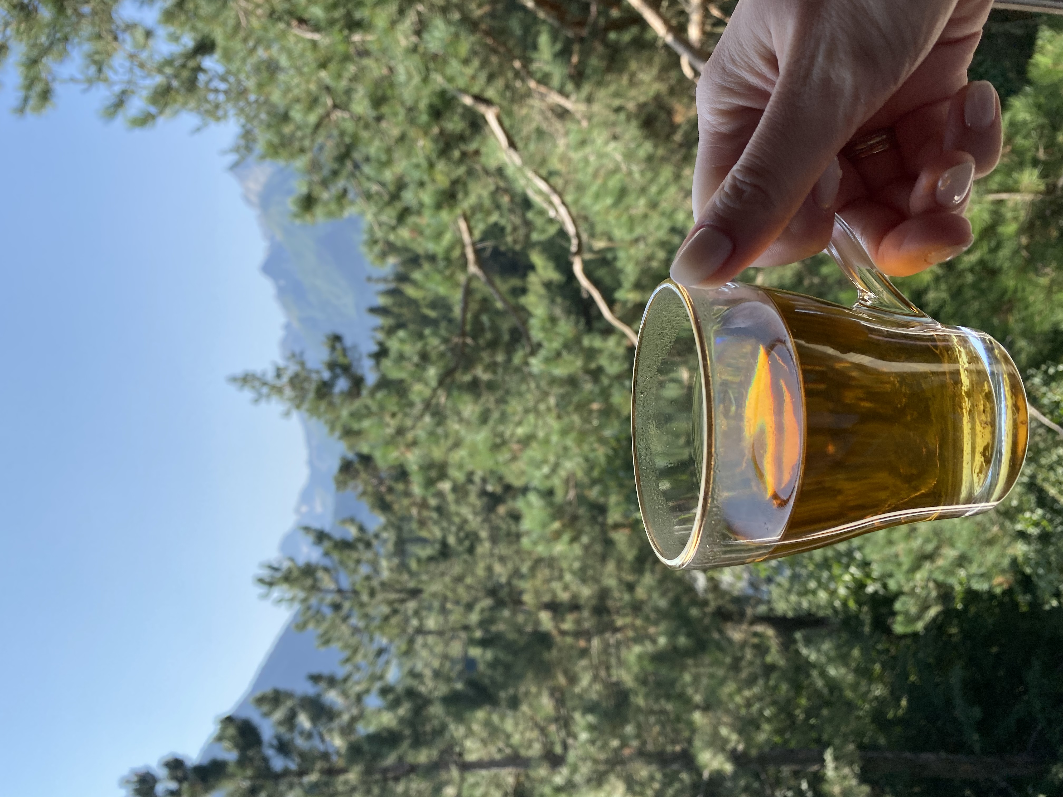 Фото Arkhyz Palace