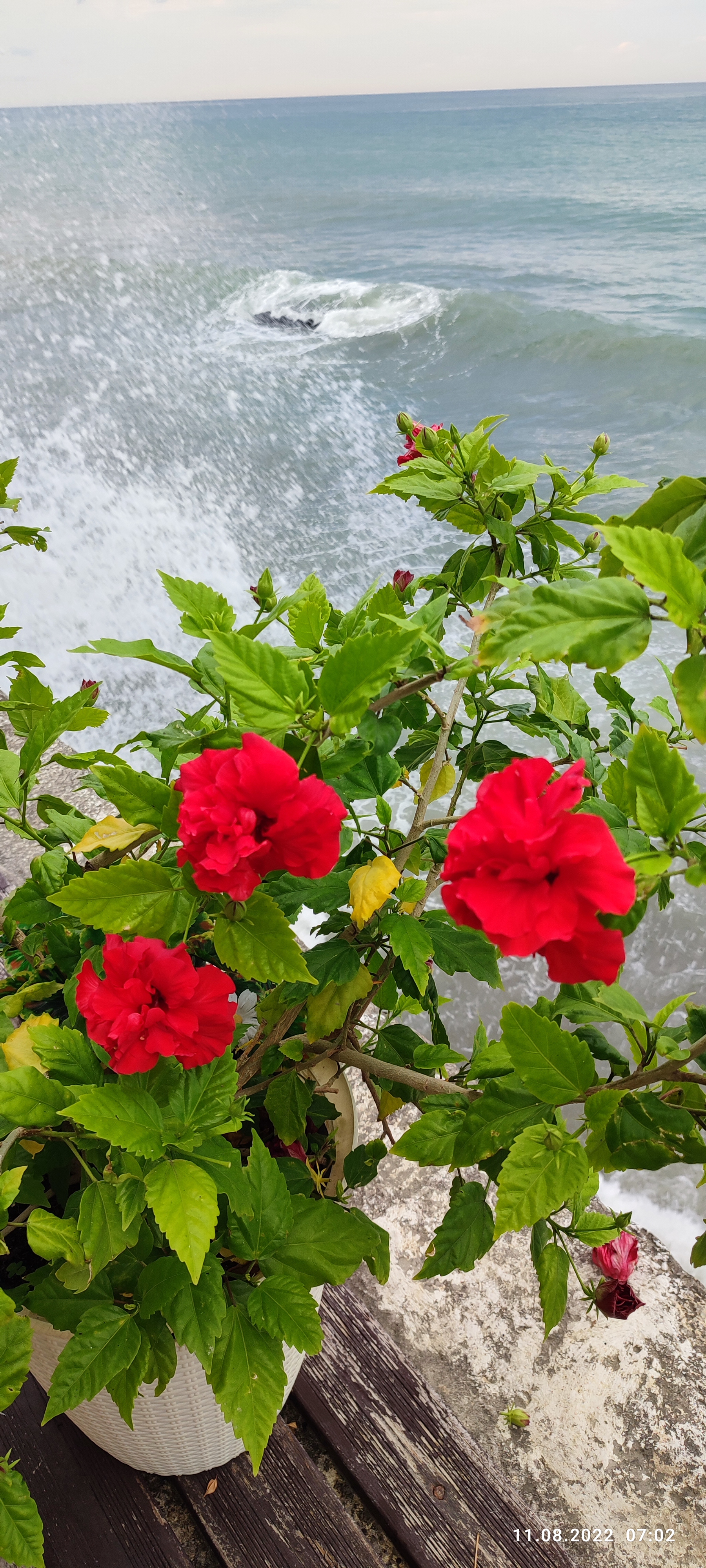 Фото Солнечный