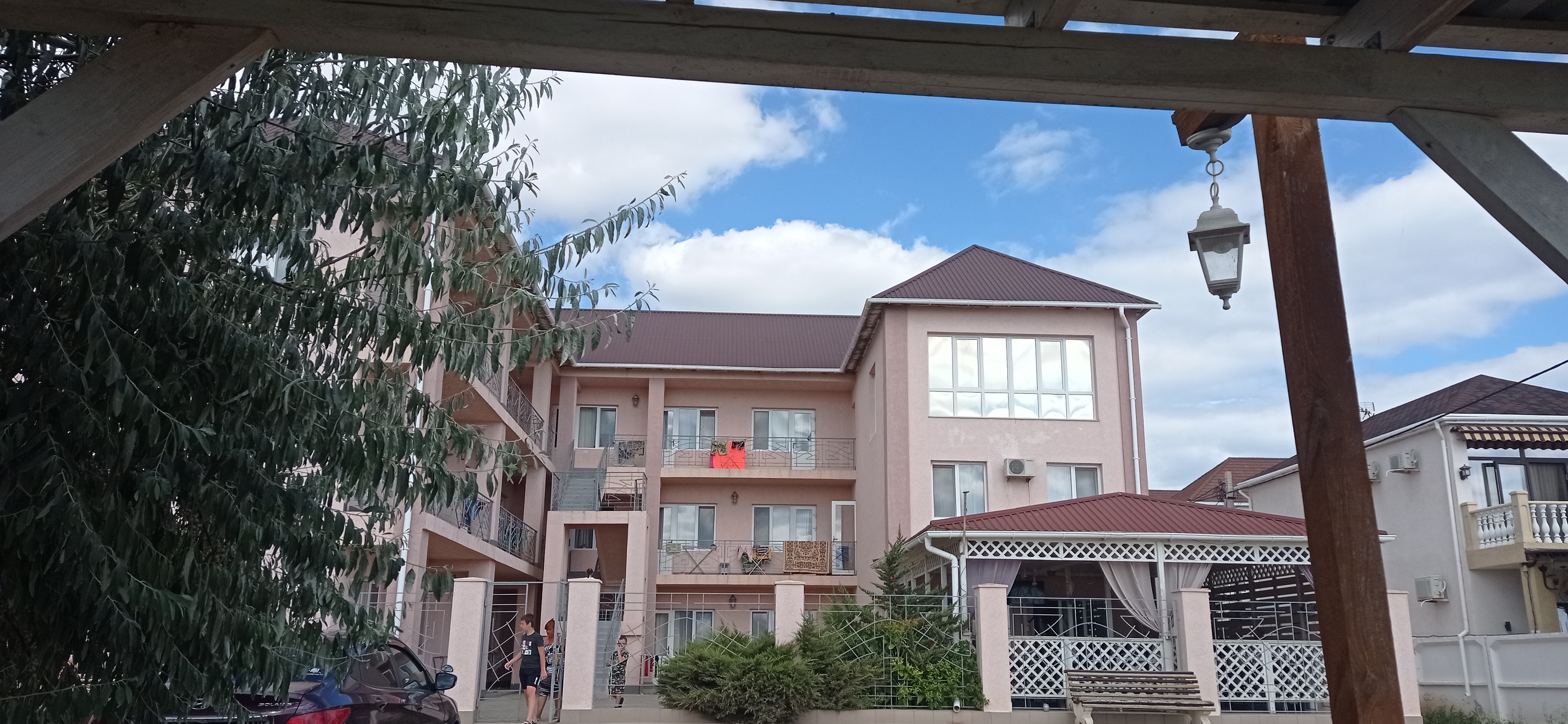 Фото Шафран