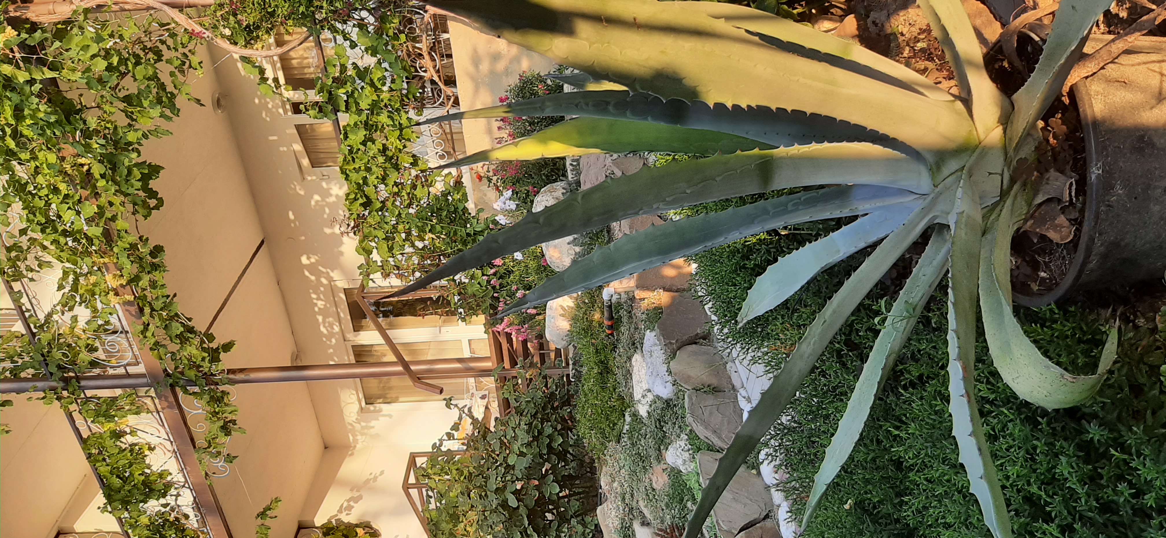 Фото Терем Ок