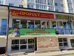 Пророст (Oktyabrskaya Street, 202), pet shop