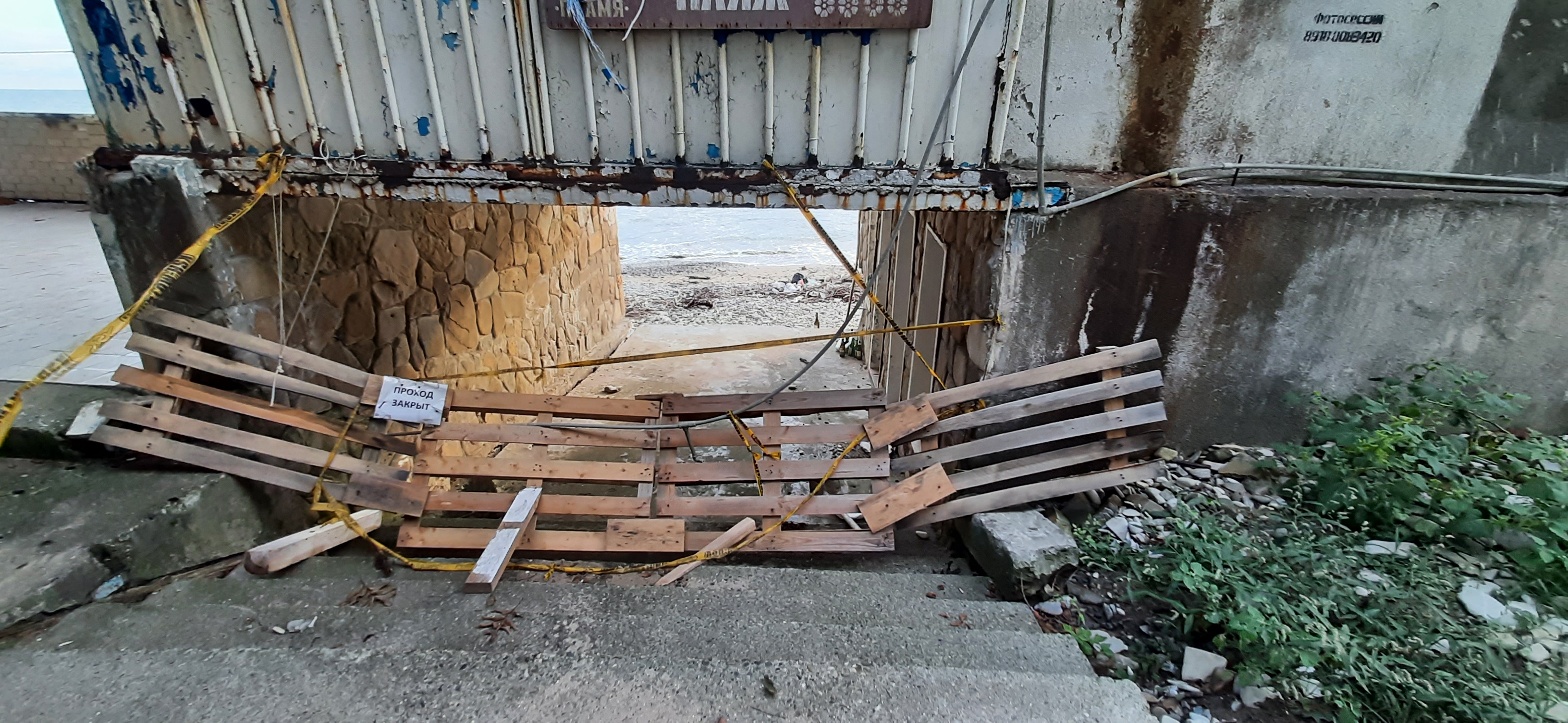 Фото Мироген