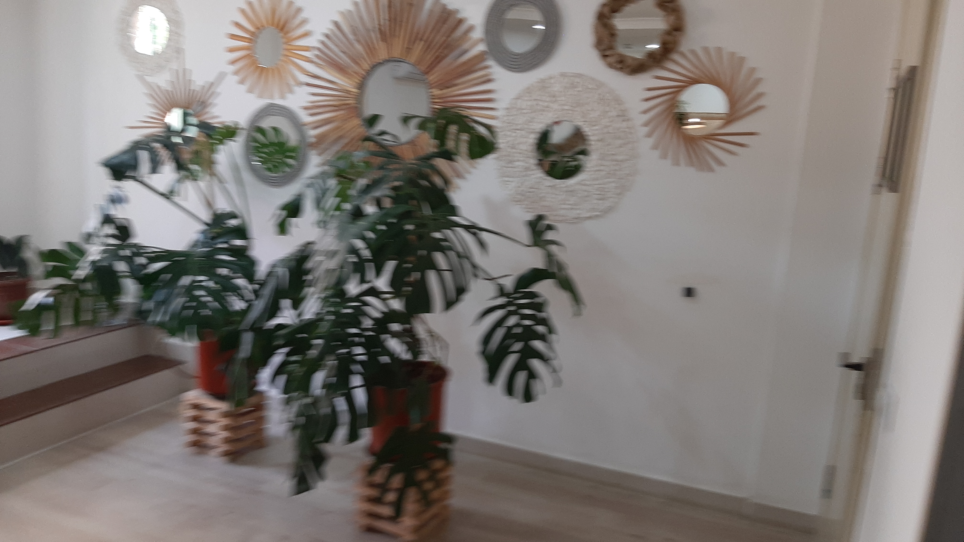 Фото Eco Art Hotel