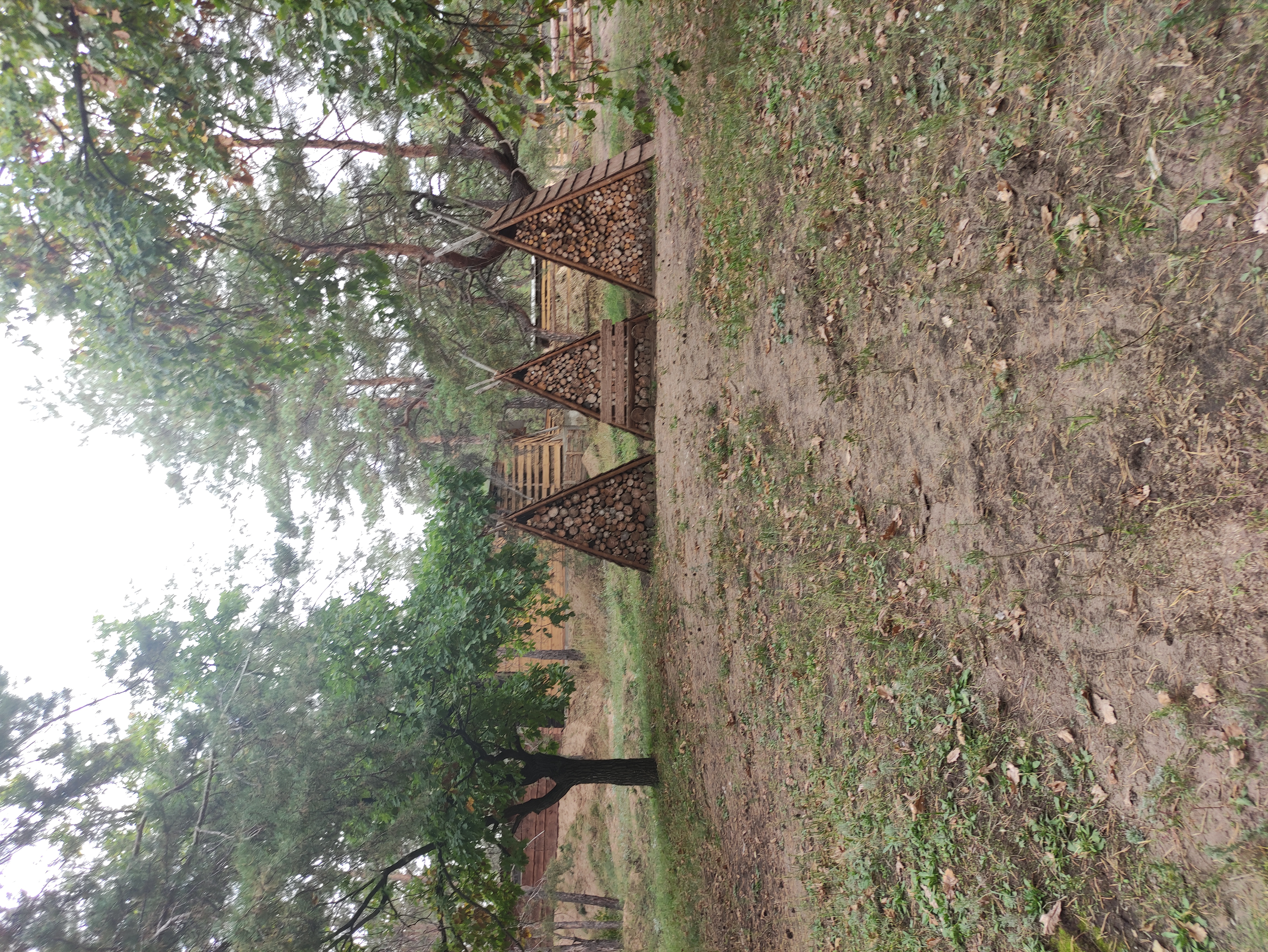 Фото Маламут Ленд