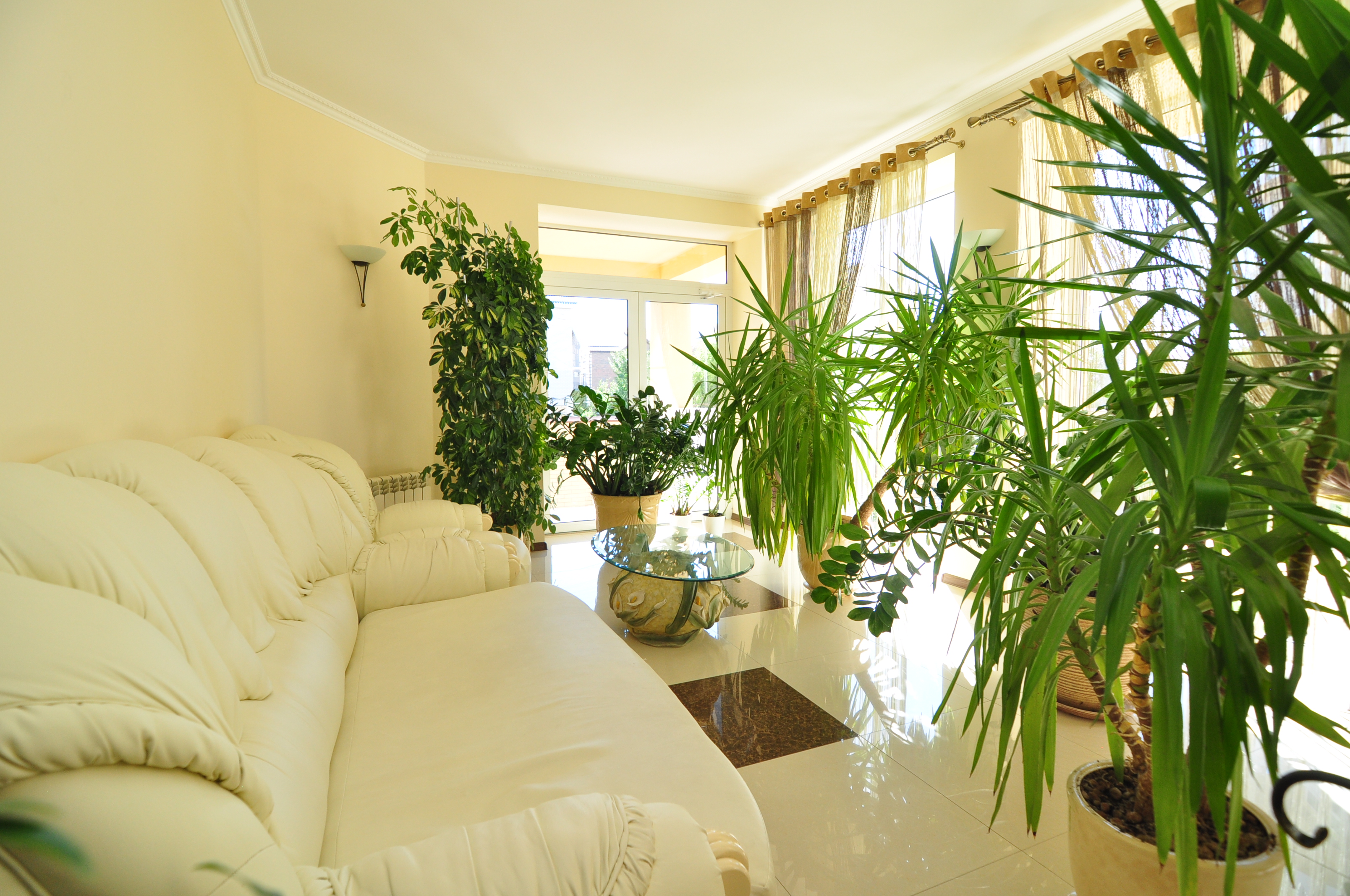 Фото Астория