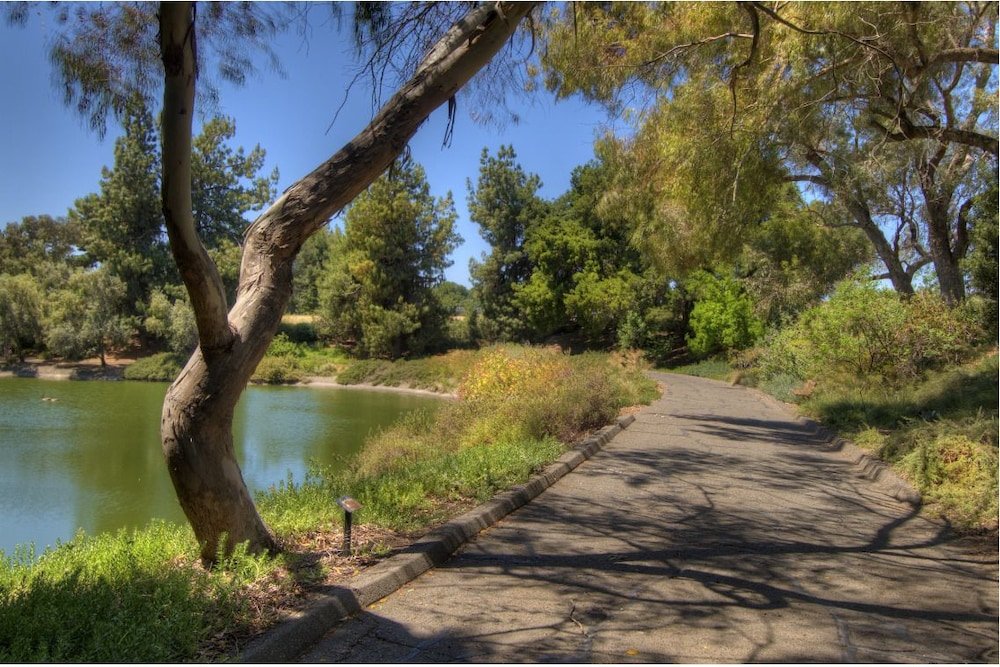 Фото Best Western Plus Palm Court Hotel