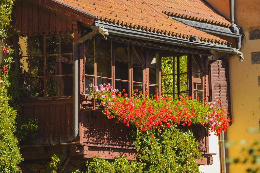 Фото Valcastello Polo Club