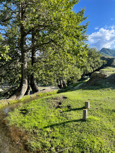 Әдемі есектері бар арулар шешіндіріп