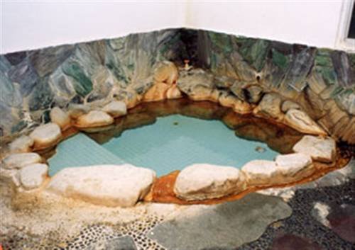 Фото Hotel Shirahama