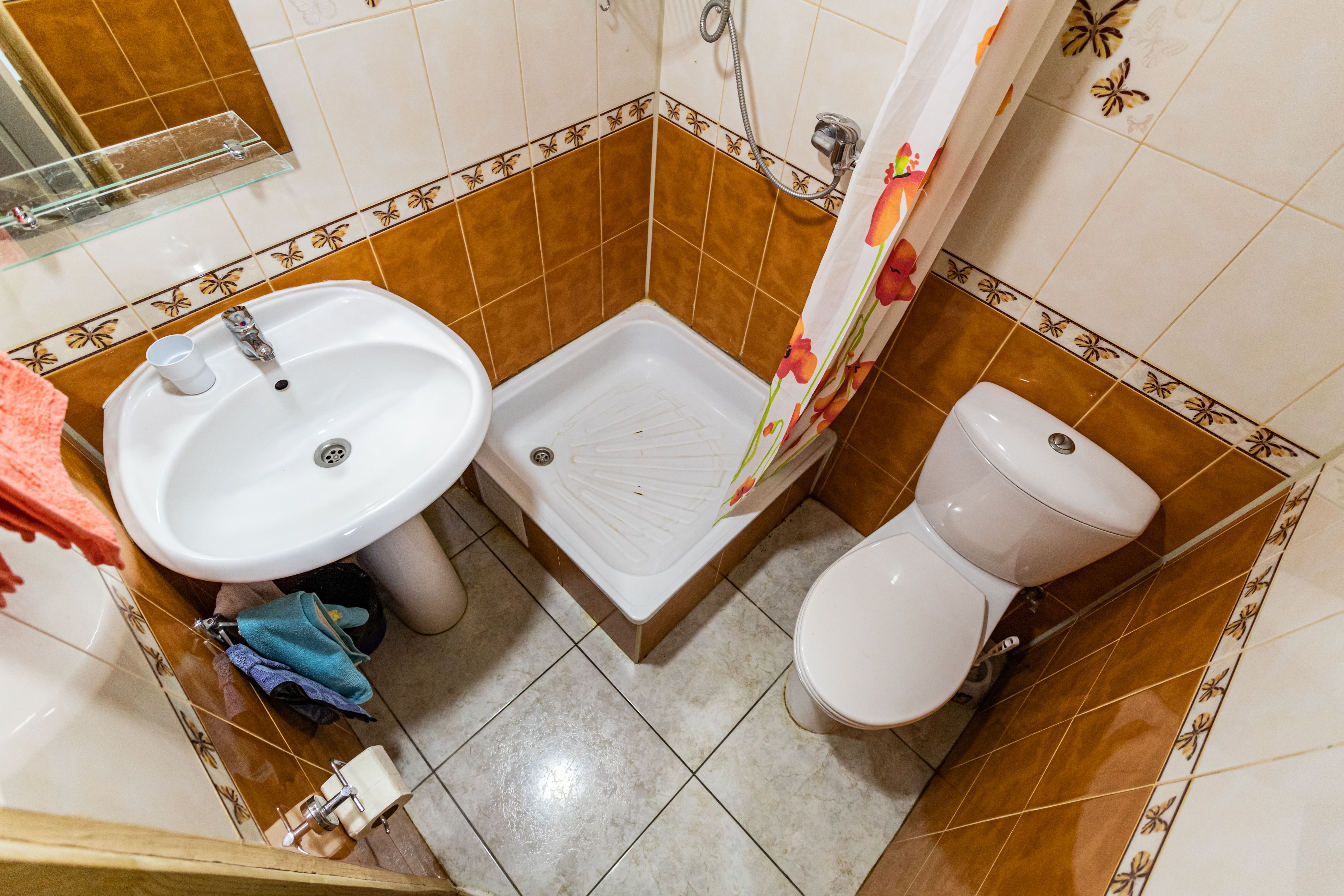 Фото Вереск