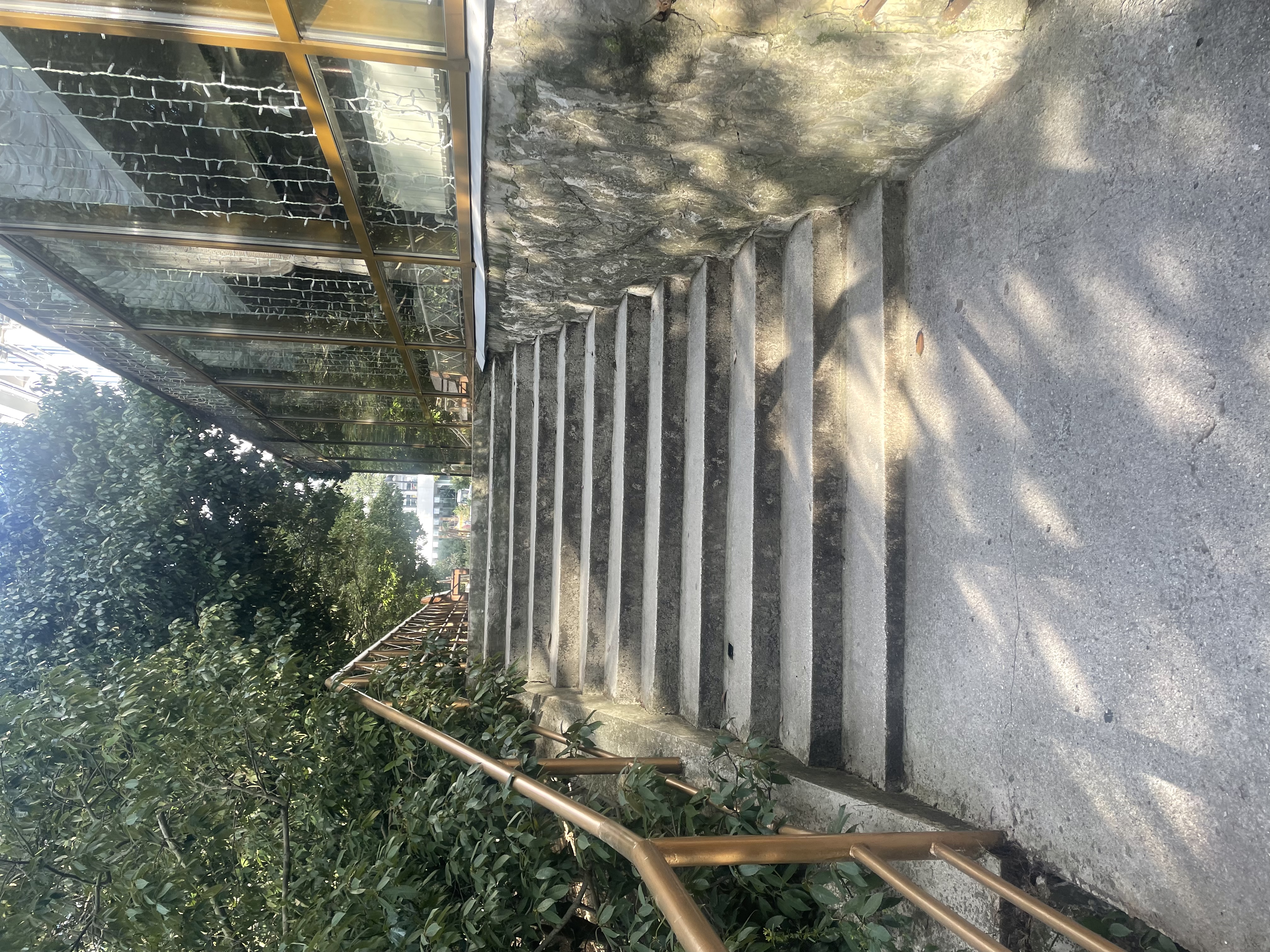 Фото Светлана Плюс