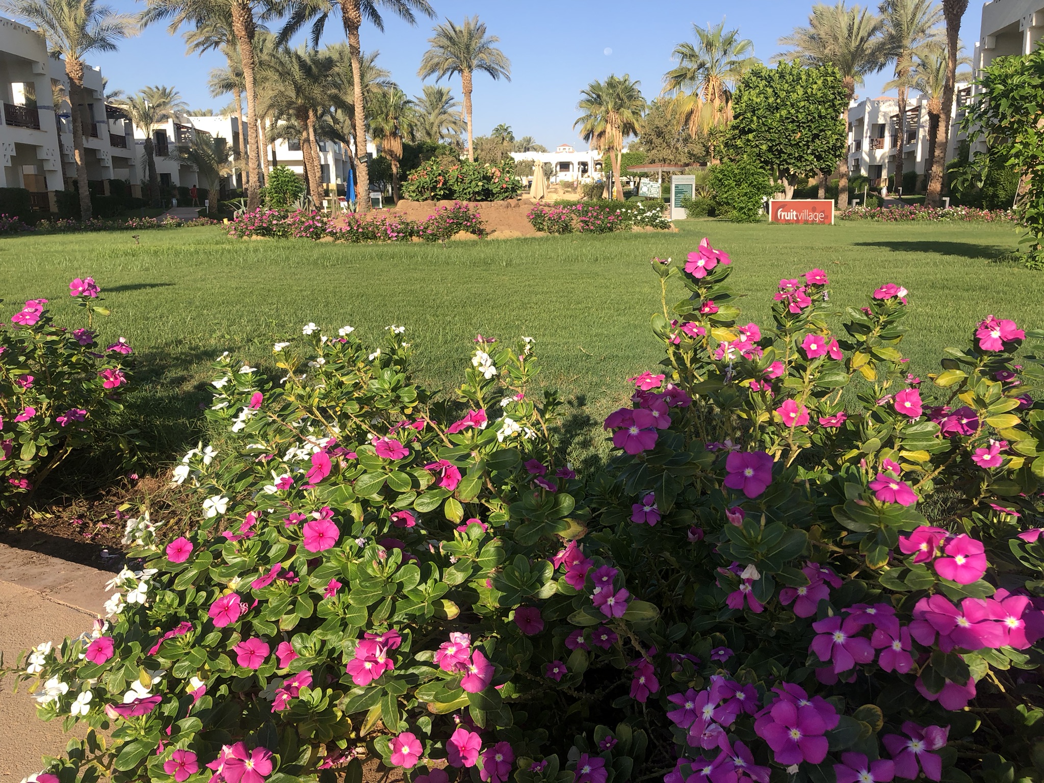 Фото Amphoras Beach