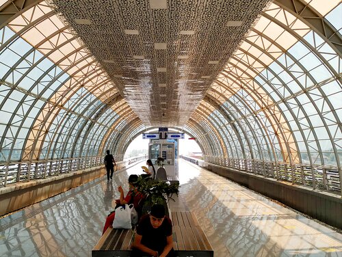 Mushukning zarbasi bilan onlayn porno tomosha qiling