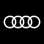 Audi Service (Moskovskiy Avenue, 252), car dealership