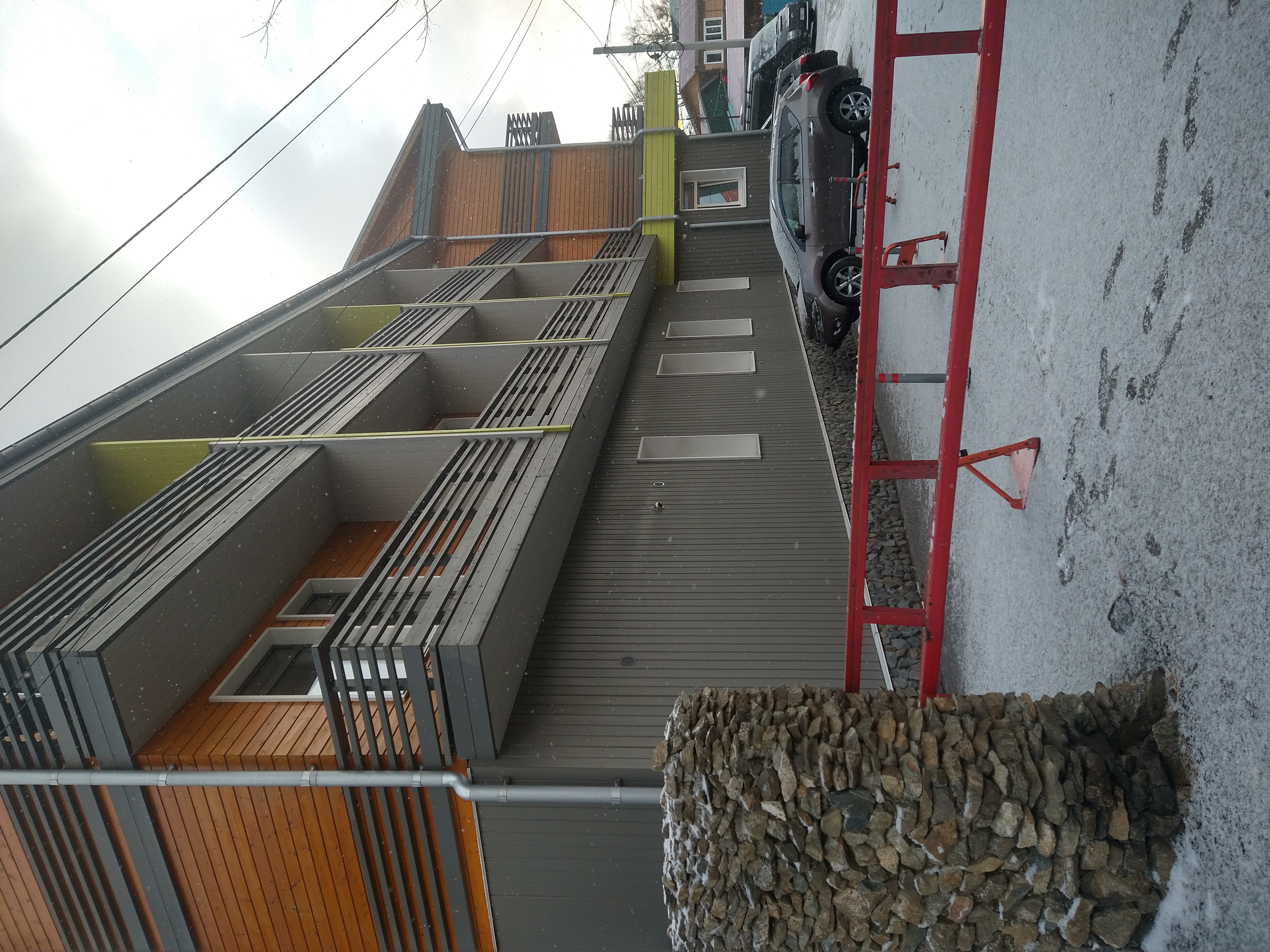 Фото Байкал Кедр